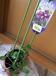 2015-05-24 14.20.44.jpg