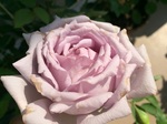 2015-05-26 08.38.06.jpg