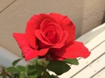 2015-05-28 10.14.55.jpg