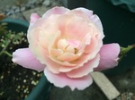 2015-05-30 17.59.24.jpg