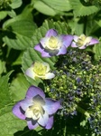 2015-06-06 11.05.55.jpg