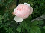 2015-06-08 14.57.44.jpg