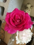 2015-06-24 11.07.15.jpg
