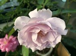 2015-06-28 16.21.53.jpg