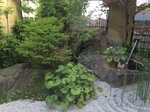2015-06-28 17.29.46.jpg