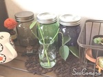 2015-07-17 09.45.07.jpg