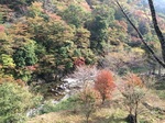 2015-10-22 13.38.36.jpg