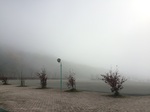 2015-11-05 09.15.22.jpg