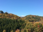 2015-11-05 11.41.33.jpg