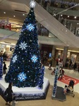 2015-11-23 13.11.44.jpg