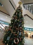 2015-12-17 20.06.41.jpg