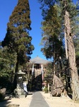 2016-02-07 13.11.27.jpg