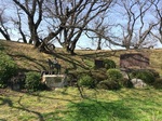 2016-03-20 13.17.20.jpg