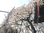 2016-03-31 15.57.20.jpg