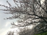 2016-04-04 16.07.14.jpg
