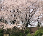 2016-04-06 10.49.35.jpg