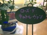 2016-05-27 16.47.18-2.jpg