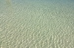 2016-06-12 08.51.51.jpg