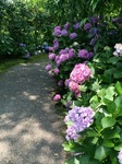 2016-06-26 12.46.13.jpg