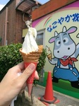 2016-06-26 13.58.52.jpg