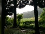 2016-07-03 11.46.27.jpg
