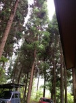 2016-07-03 11.46.44.jpg