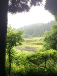 2016-07-03 11.47.11.jpg