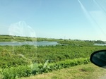2016-07-31 15.40.12.jpg