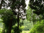 2016-08-17 11.29.38.jpg