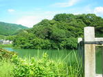 IMGP0254.JPG