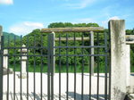 IMGP0255.JPG