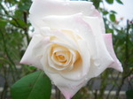 IMGP2437.JPG
