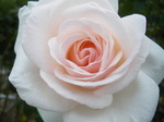 IMGP2444.JPG