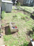IMG_0235.JPG