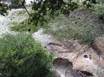 IMG_1110.JPG