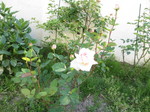 IMG_2040.JPG