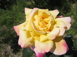 IMG_2067.JPG