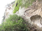 IMG_3833.JPG