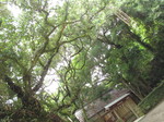 IMG_3835.JPG