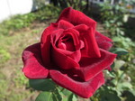 IMG_8715.JPG