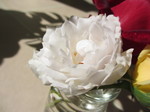 IMG_8718.JPG