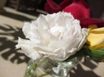 IMG_8719.JPG
