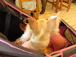IMG_8927.JPG