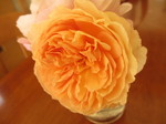 IMG_9188.JPG