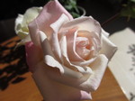 IMG_9262.JPG